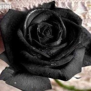 Meet your Posher, Marina